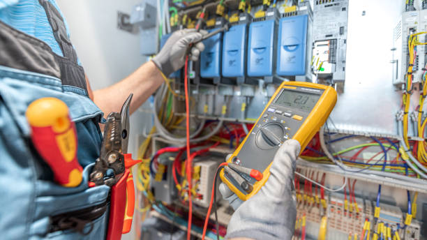 Best Ceiling Fan Installation Electrician  in Wrangell, AK